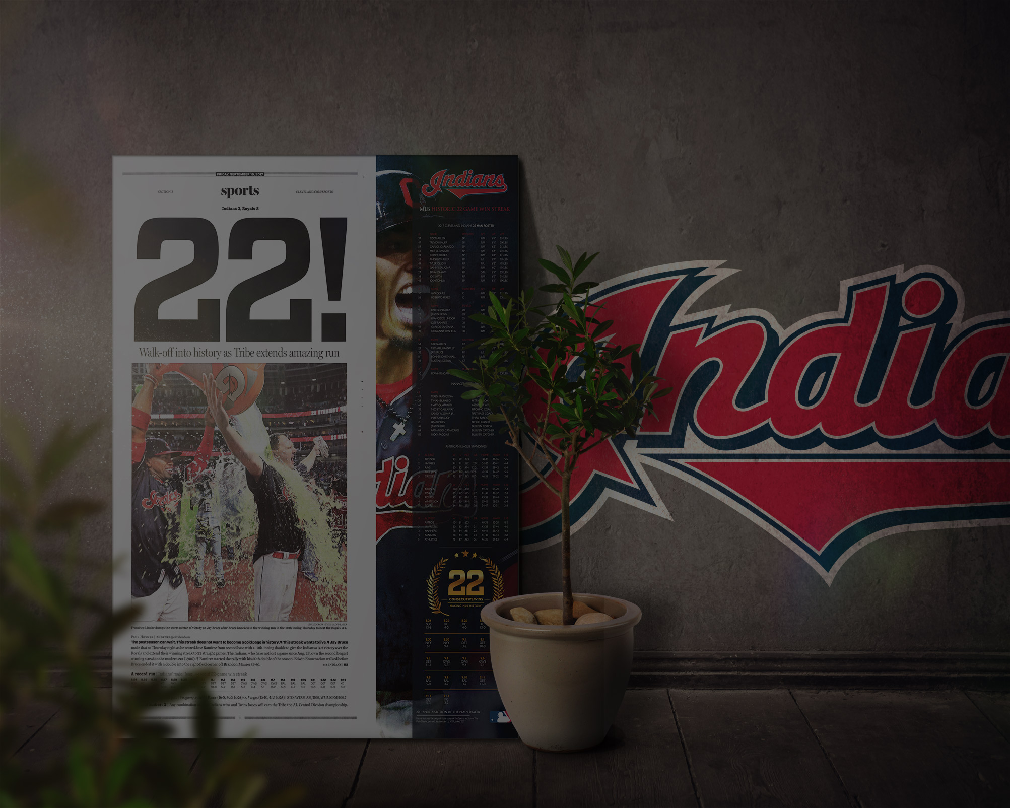 Glass Wall Frame Art, Cleveland Indians, Tribe, AL Champions, World Series, Chicago Cubs