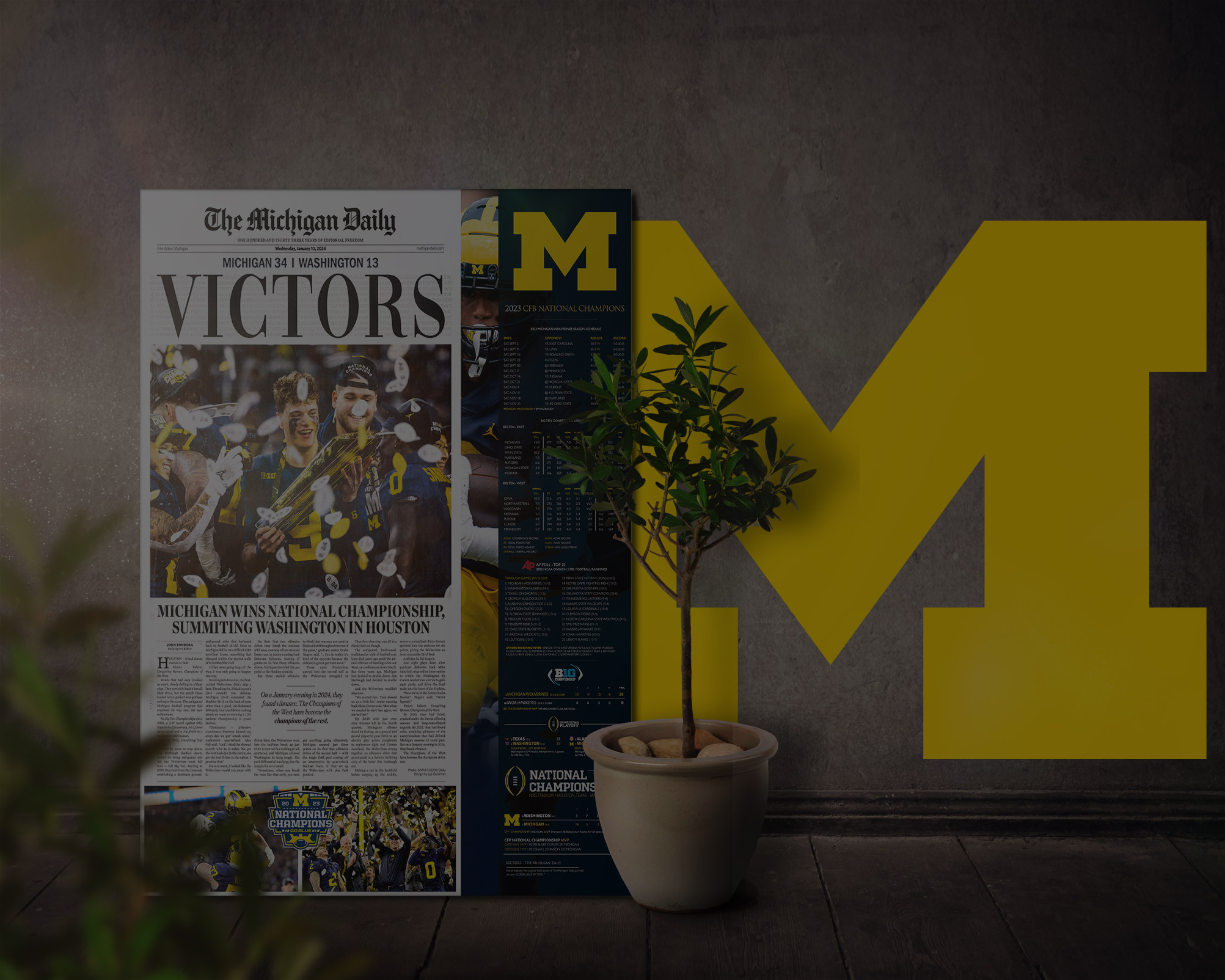 Glass Wall Frame Art, Michigan Wolverines, NCAA College Football National Champions